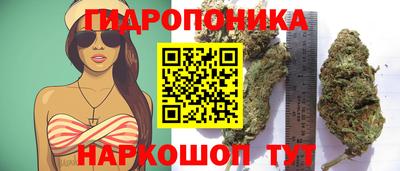 каннабис Гусь-Хрустальный