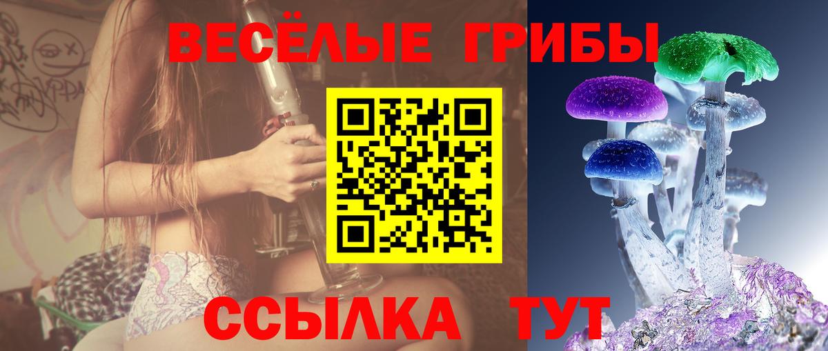 Псилоцибиновые грибы мицелий  где купить наркоту  Муравленко  Галлюциногенные грибы Cubensis  Вход с VPN 